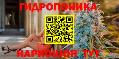 крисы Ивантеевка
