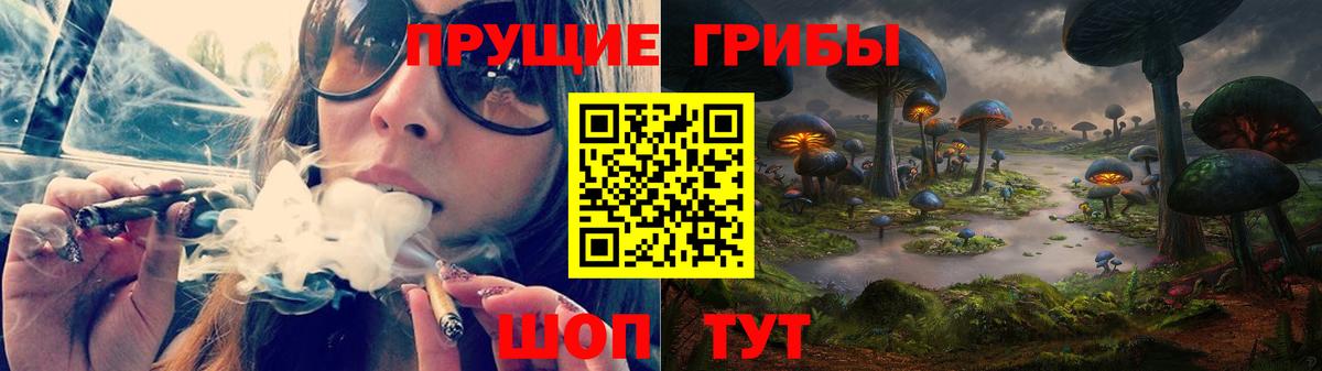 Анжеро-Судженск  Галлюциногенные грибы Psilocybe  Вход с VPN 